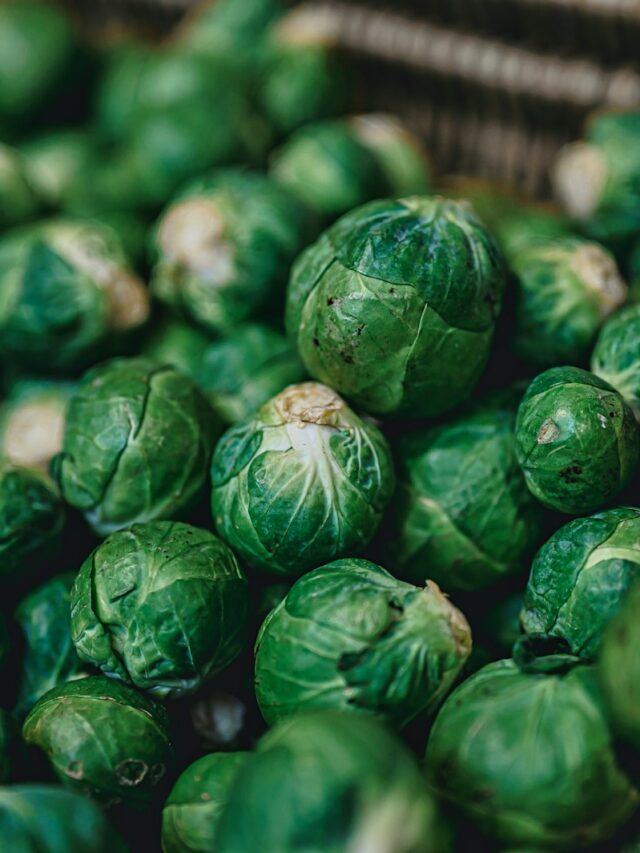 The Benefits of Brussels Sprouts